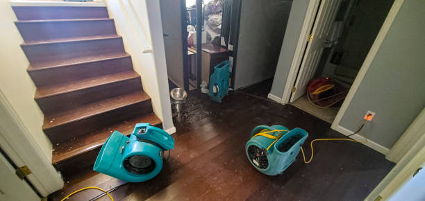Best Sewage cleanup and water damage restoration  in Emerald Lakes, PA