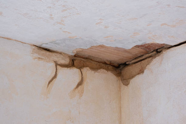 Best Water damage restoration near me  in Emerald Lakes, PA