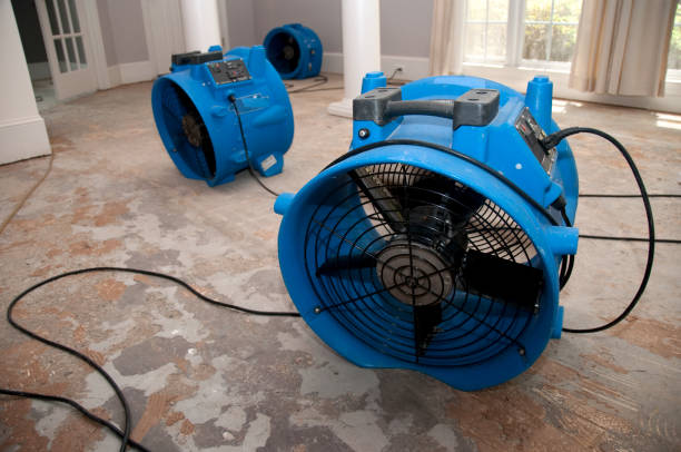 Best Basement water damage restoration  in Emerald Lakes, PA
