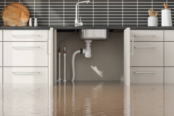 Best Water damage contractors near me  in Emerald Lakes, PA