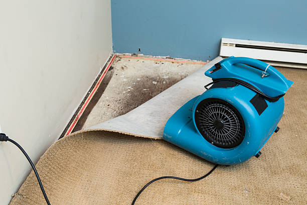 Best Fire Damage Restoration  in Emerald Lakes, PA